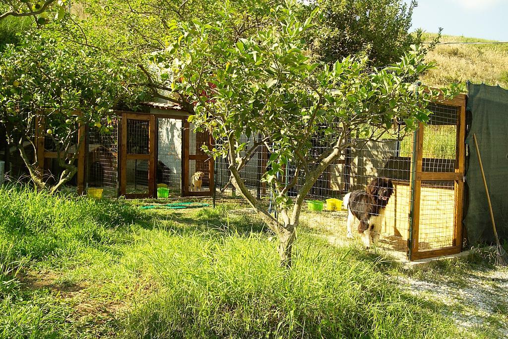 Villaggio Hotel Lido San Giuseppe Briatico Εξωτερικό φωτογραφία